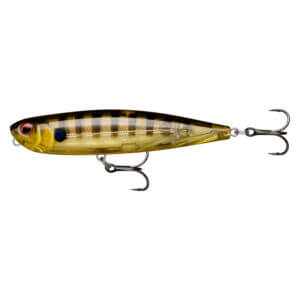 Isca Rapala Precision Xtreme Pencil 107 PXRP107 - 4" (10,7 cm) 21 g